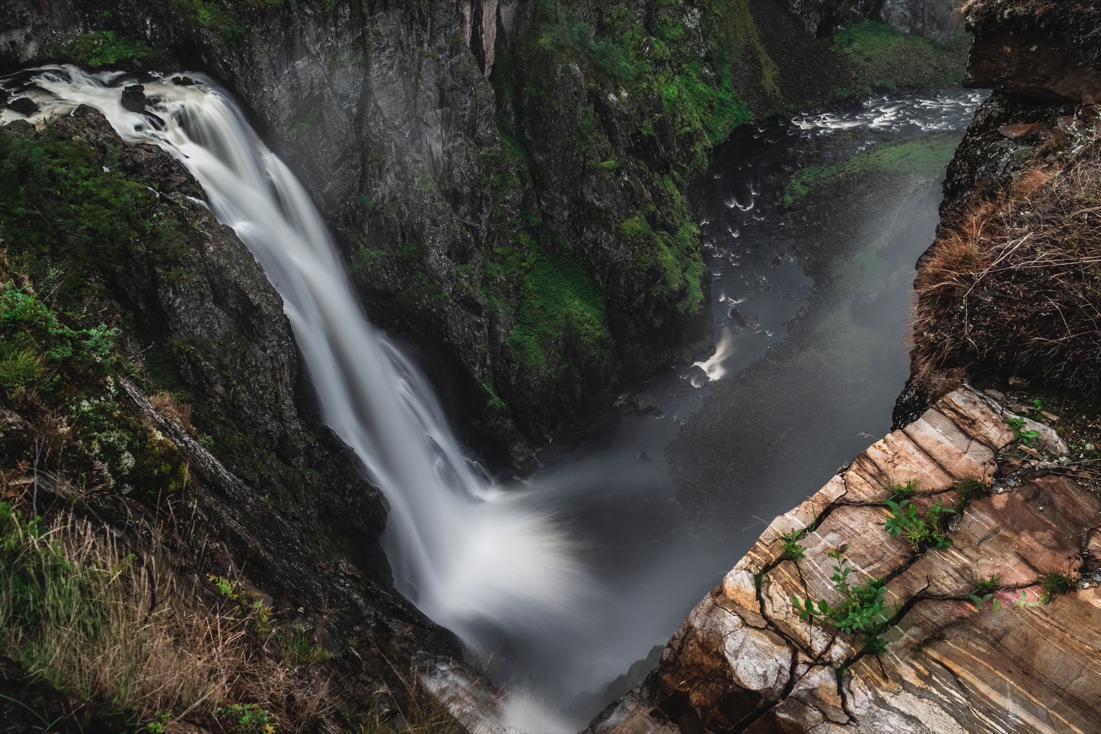 Семонконг