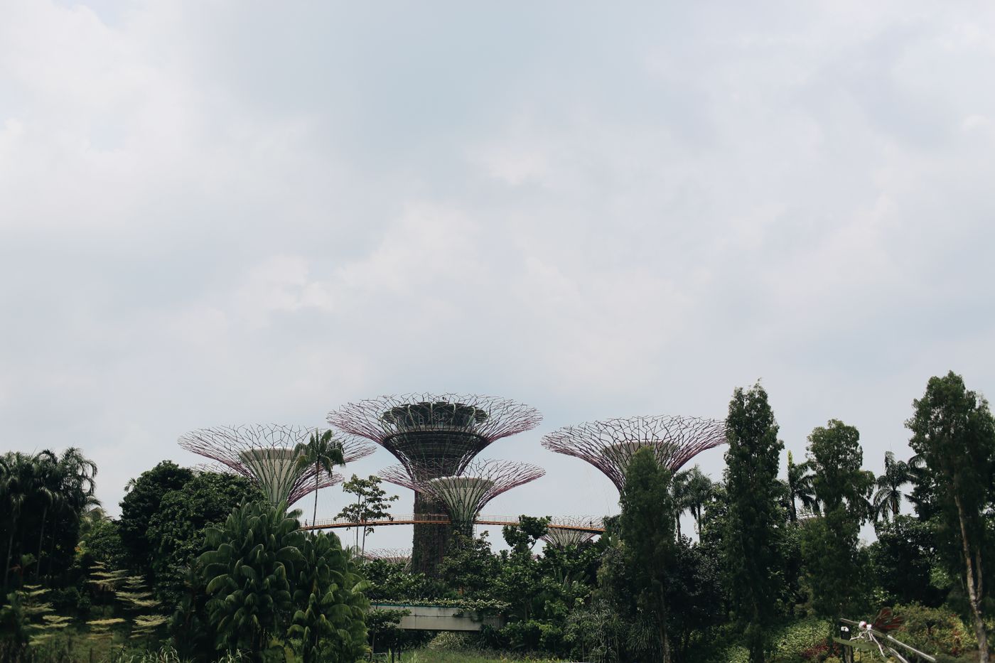 Gardens by the Bay и Марина-Бэй