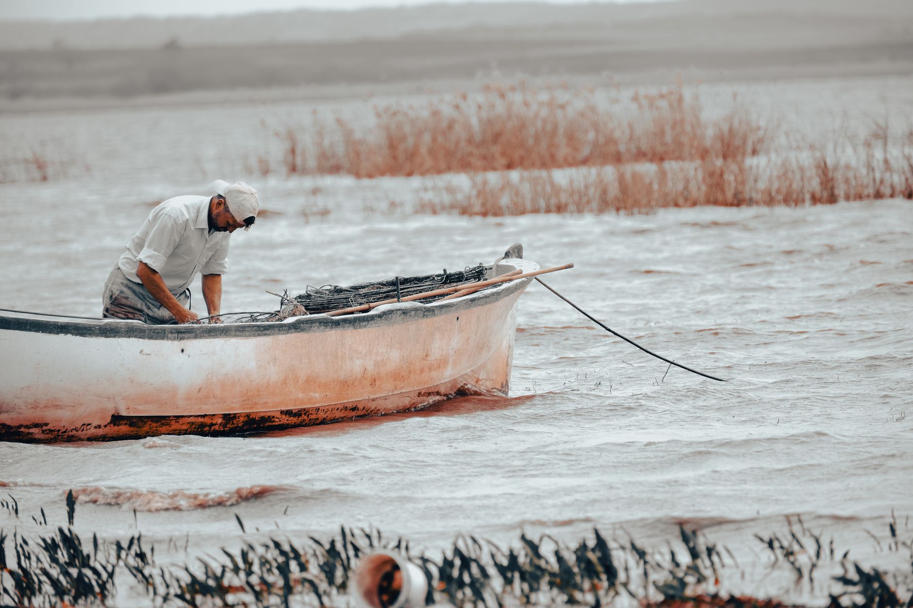 volga delta · boat · reeds